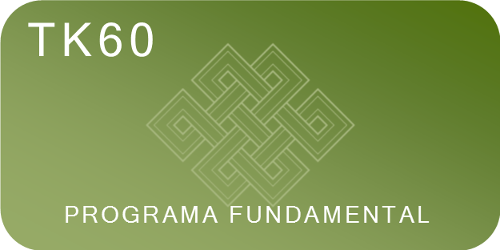 TK 60 Programa Fundamental