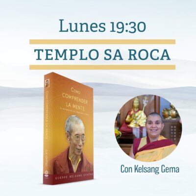Cómo comprender la mente