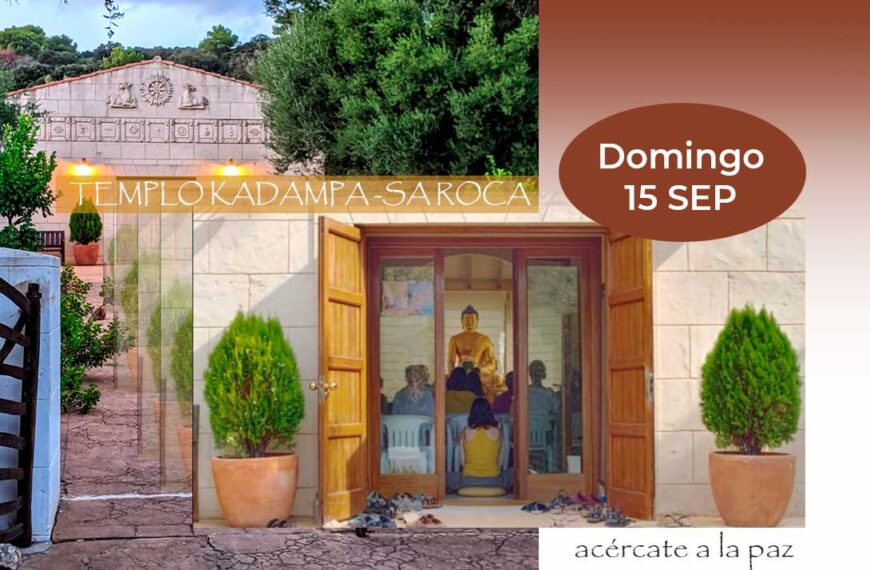Open Day: come and see the IKRC Menorca