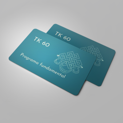 TK60 Programa fundamental