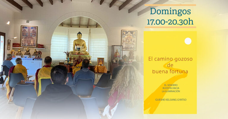 Programa Fundamental | Domingos, 17.00-20.30h