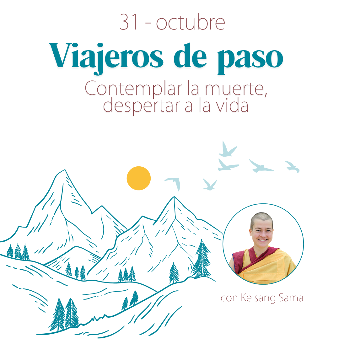 Viajeros de paso